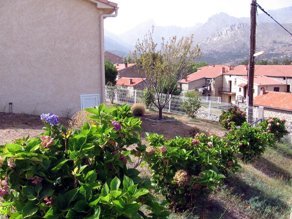 Terrasse De Malbeccu Villa Casamaccioli Rum bild